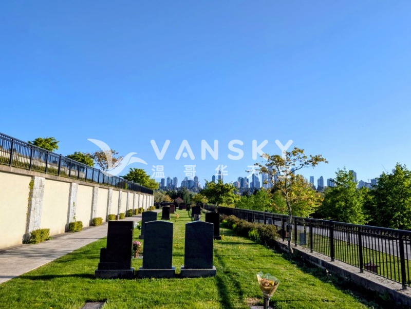 260217190000_burial plot south.jpg